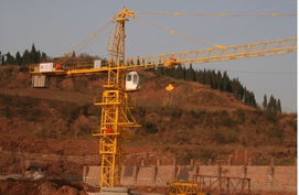 塔吊市場供需動態(tài) 銷售、求購與貿(mào)易信息綜合分析