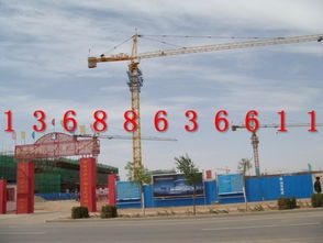 QTZ63塔吊 性能特點與市場供應(yīng)分析