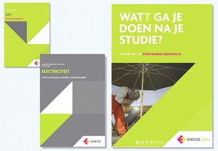 歐美enexis能源環保公司 融合企業形象設計與文化藝術交流的創新實踐