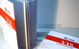 構建品牌視覺的統一語言 VI、VIS設計與企業形象規范全解析